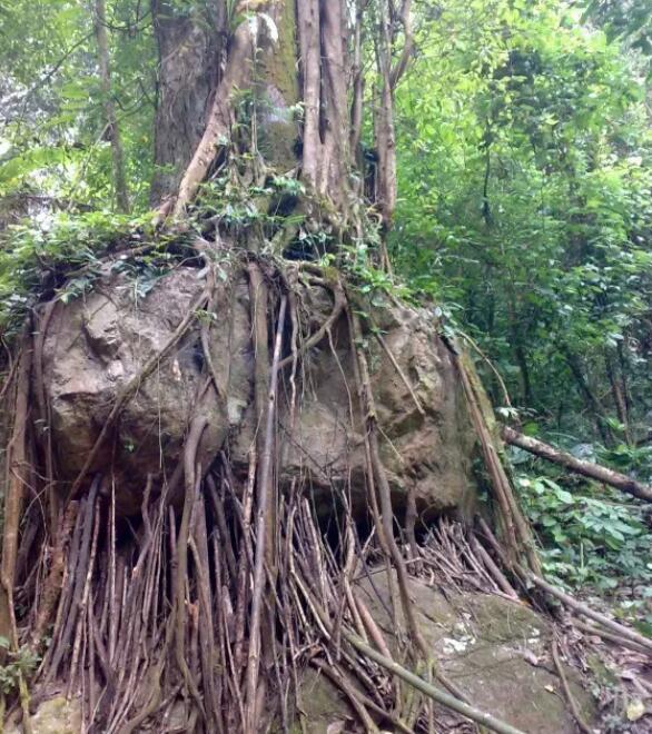 ����Ī���ȴ����֣�