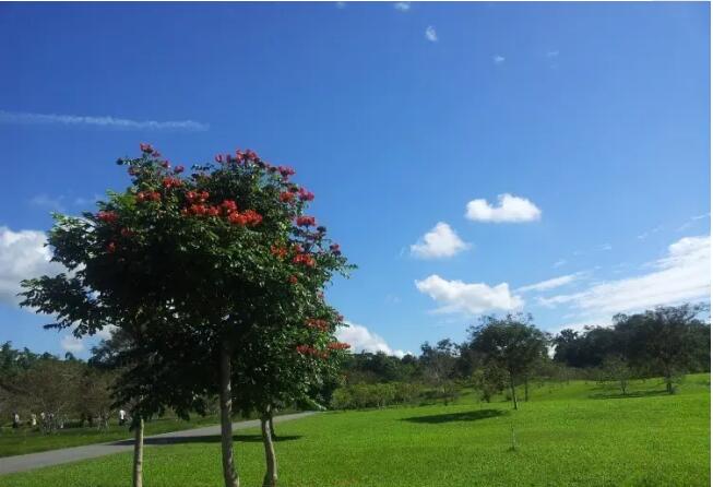 ����ֲ��԰��