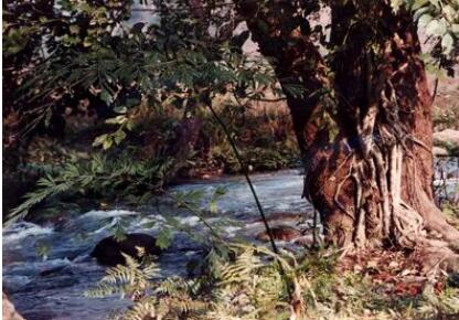 ��Ӹ�����ˮ���ȴ��������ζȼ�����