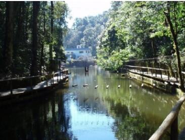 ��Χɽ���ҹ�԰��