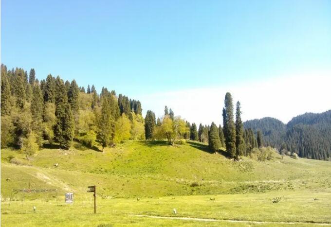 库尔德宁风景区,