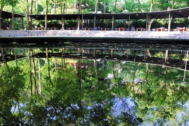 ̨�����ɭ�֣�