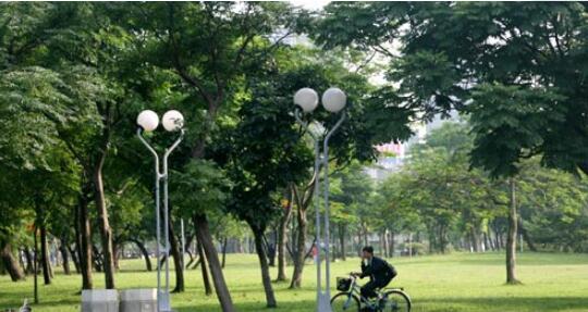 ̨���ɭ�ֹ�԰��