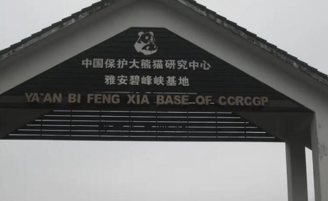 �Ű��̷�Ͽ��