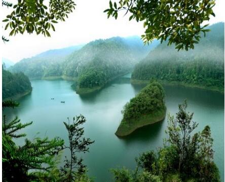 �ƾ����֣�