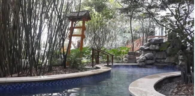 ����ɽɭ����Ȫ��