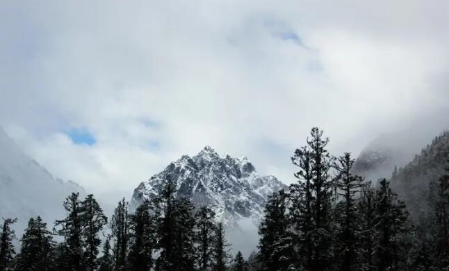 ���������޷羰����