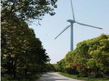 �Ϻ�����ɭ�֣�