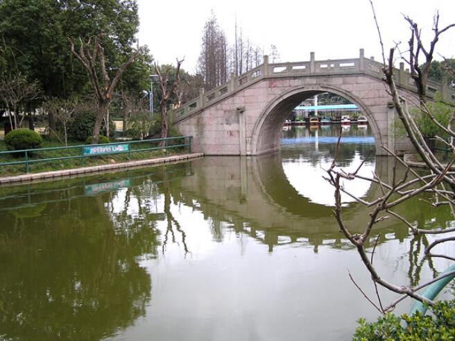 �ֶ�����ɭ�ֹ�԰��