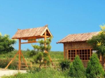 ɽ�����ɽ������