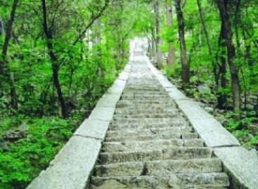 ��ɽ����ɭ�ֹ�԰��