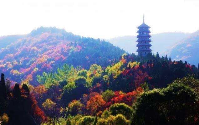 ���Ϻ�Ҷ�ȣ�