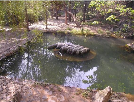 ����ɽ�羰����