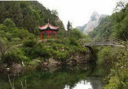 ������ͬ�ºӱ�ɭ�֣�