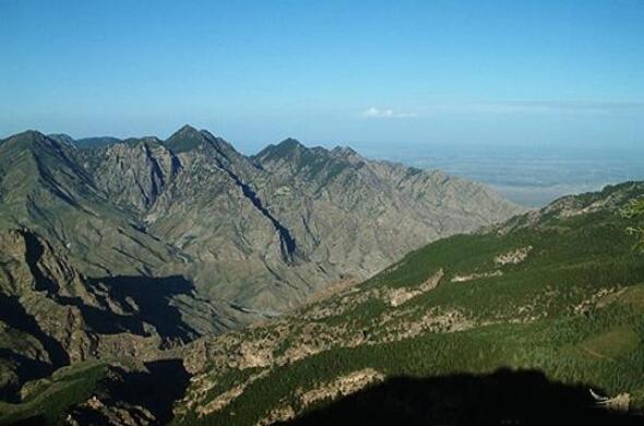 ���������ڹ���ɭ�ֹ�԰��