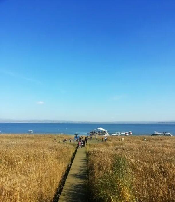 �����첼᷺���