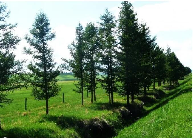 ���������ͳ��������