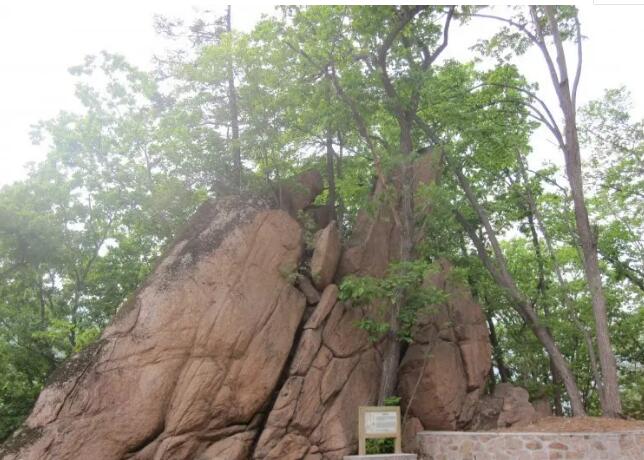 �������Ź�����ɭ�ֹ�԰��