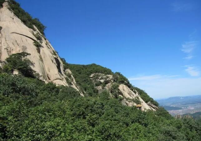 �������ɽ��