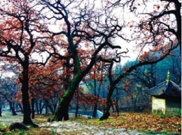 ���ɽ�羰��ʤ�����ɽ�羰��ʤ����