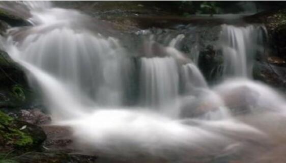 ����Ͽ��