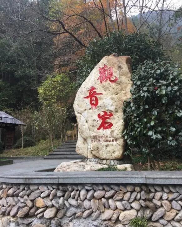 �����Ҿ�����