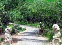 �껨ʤ����