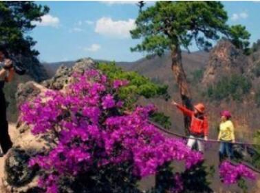 �ӱ��ɾ�̨�羰����