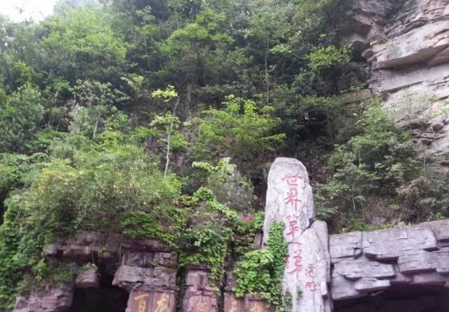 �żҽ�����Դ��