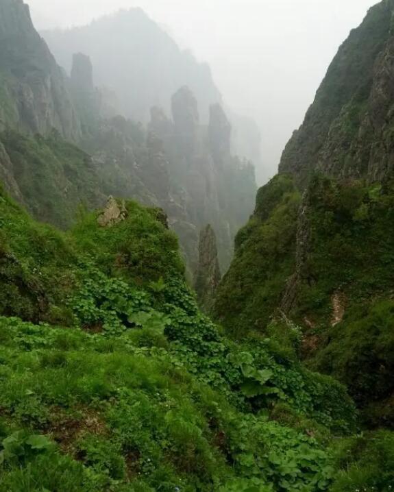 神农谷国家森林公园,