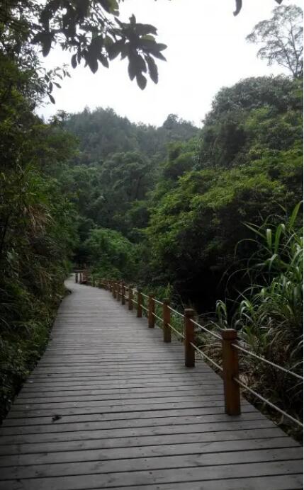 ���Ͼ���������ɭ�ֹ�԰��