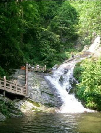 ����˴��ɽ����ɭ�ֹ�԰��