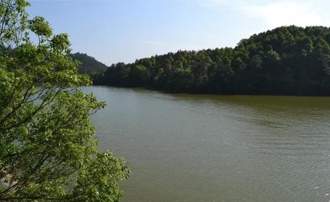 �󾩷羰����