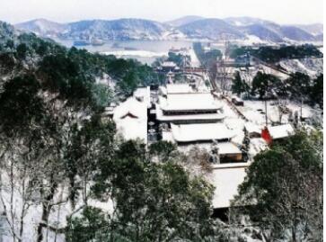 ���¼�ɽ����ɭ�ֹ�԰��