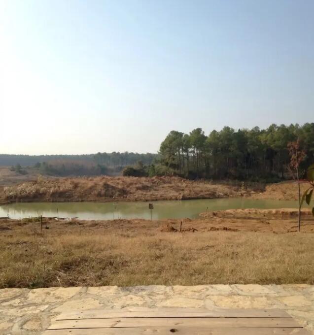 太子山国家森林公园,