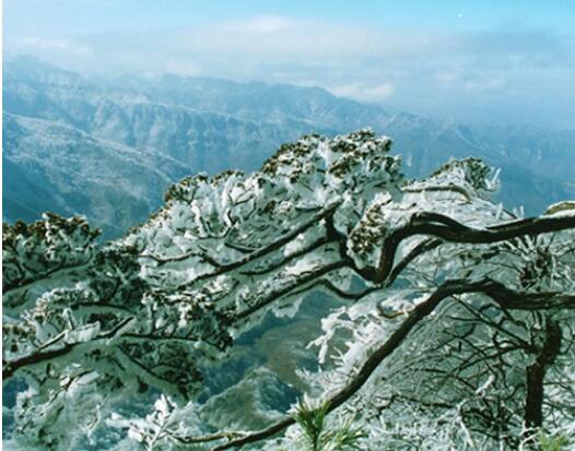 神农架天燕原始,生态旅游区