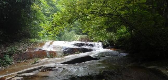 ����ɽ����ɭ�ֹ�԰��