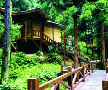 ������ޯɽ�羰����