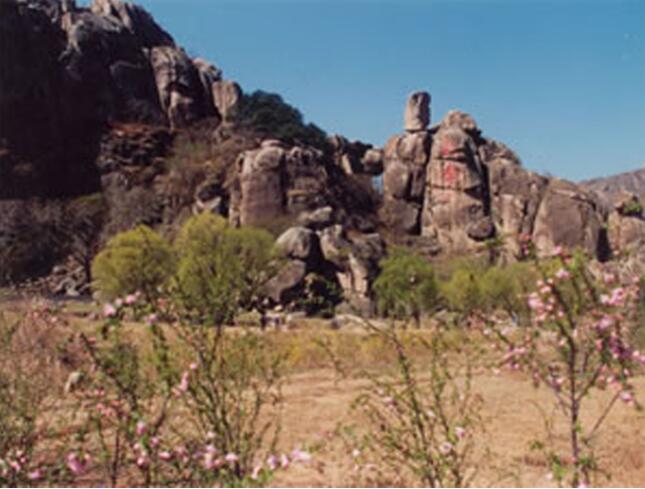 长寿国家森林公园,