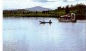 伊春桃山国际狩猎场,