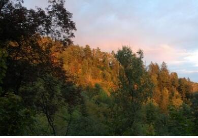 ����ɽɭ�ֹ�԰��