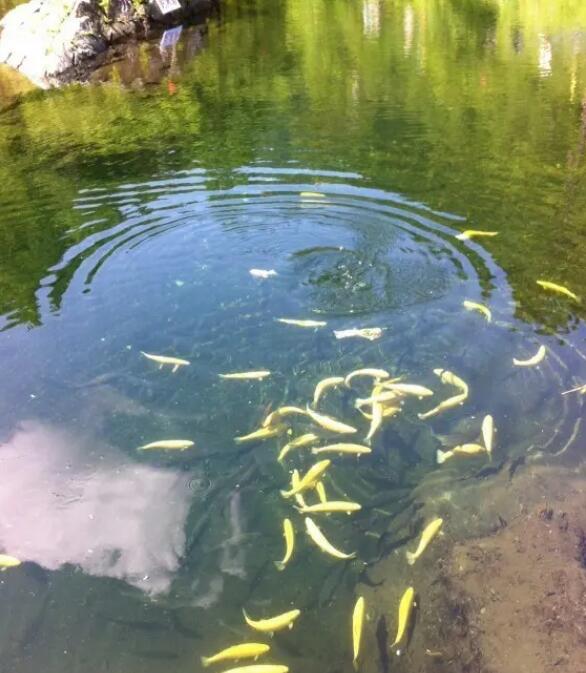 �������峣����ɽ��