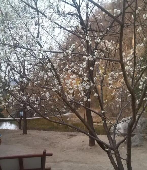 栾川蝴蝶谷风景区,