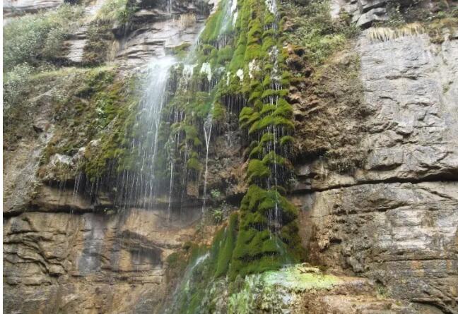 ������̨ɽȪ��Ͽ��