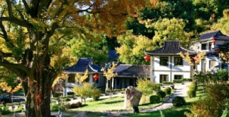 唐山禅林寺古银杏风景园,