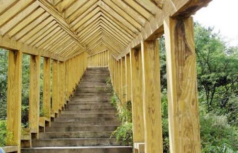 涉县九峰山森林公园,