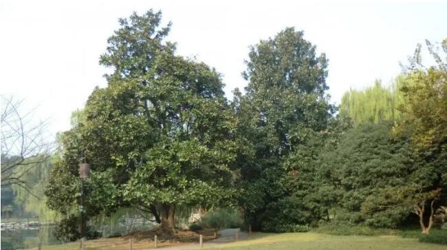 承德兴隆六里坪国家森林公园,