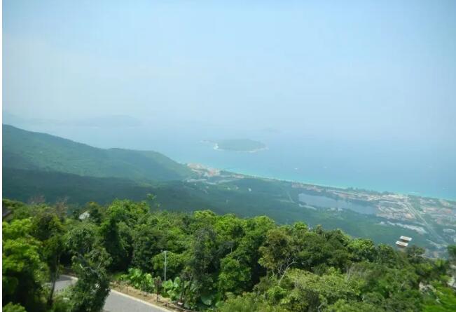 �������ȴ�����ɭ�ֹ�԰��