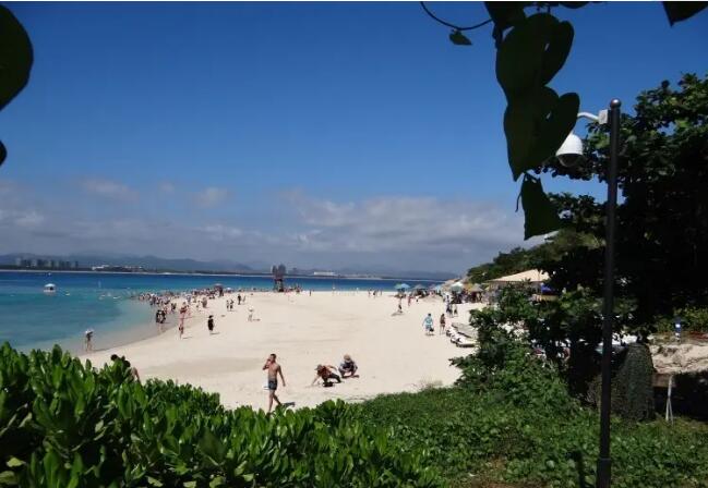 ��֧�޵���