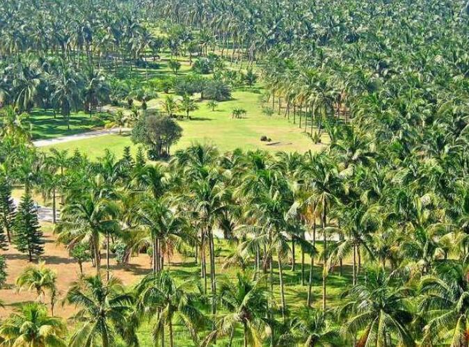 �Ĳ�Ҭ�Ӵ��԰��